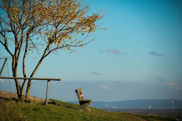 La naturophatie et la digestion : Comment ça aide?